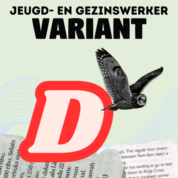 4-daagse basistraining - variant D