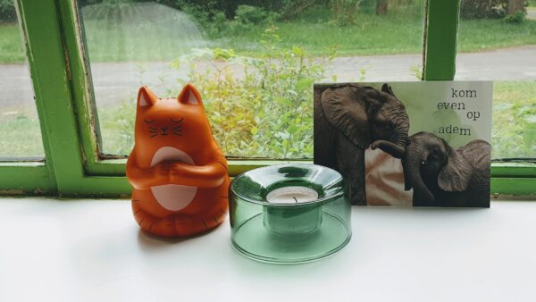 Gesprekskaarten set 2 (7 stuks) - Afbeelding 4