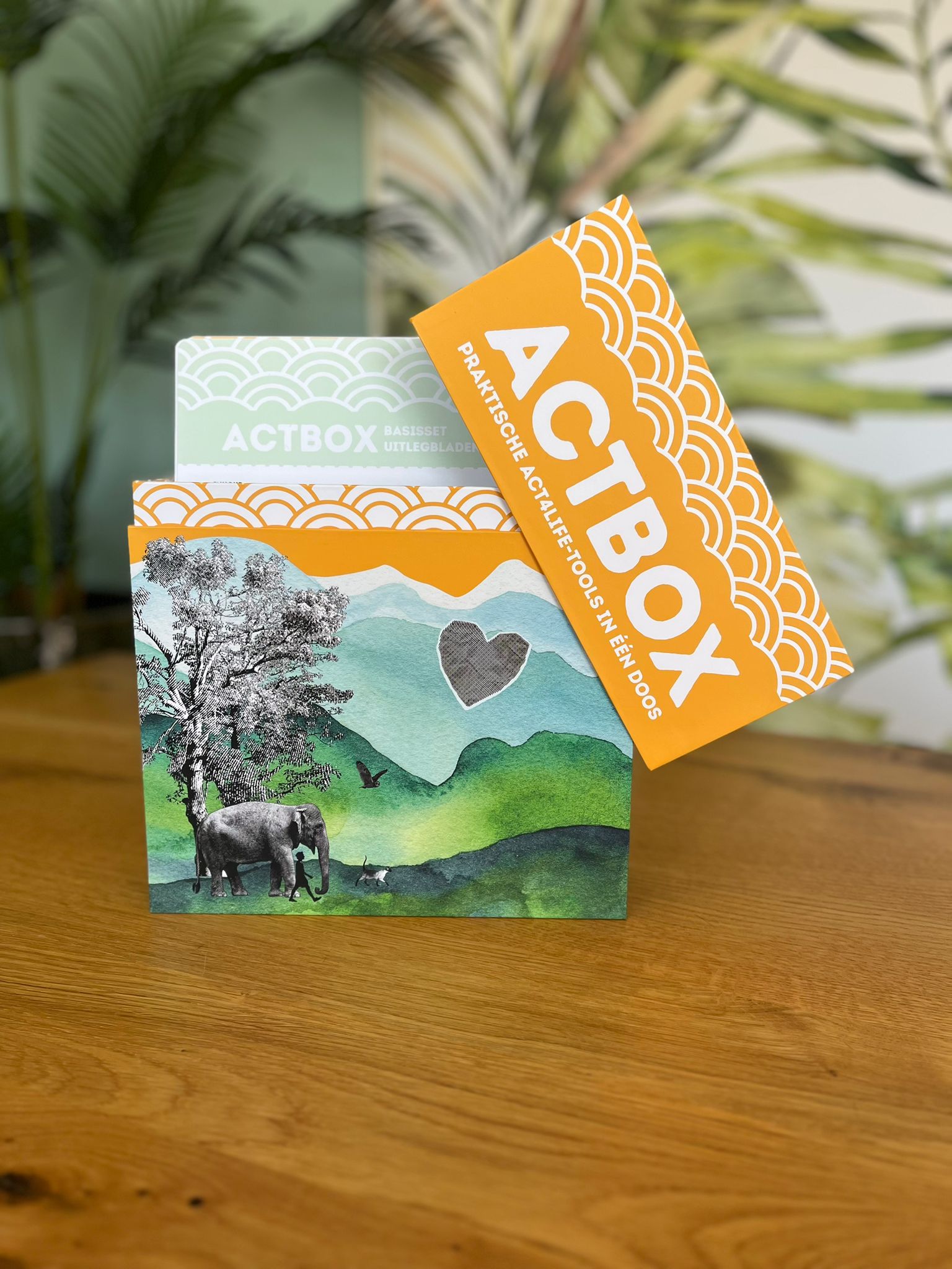 ACTBOX basis - compleet - Afbeelding 10