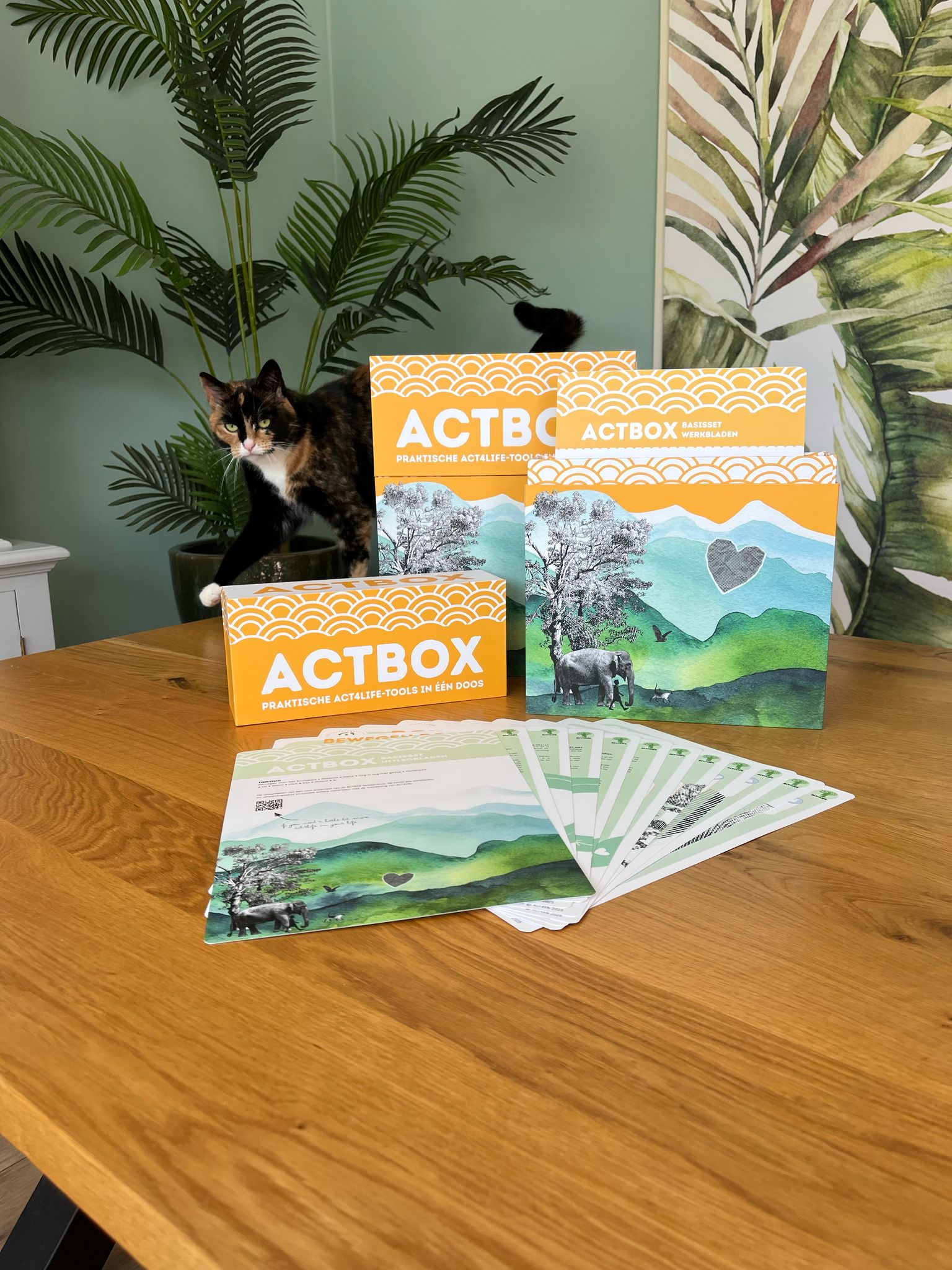 ACTBOX basis - compleet - Afbeelding 11