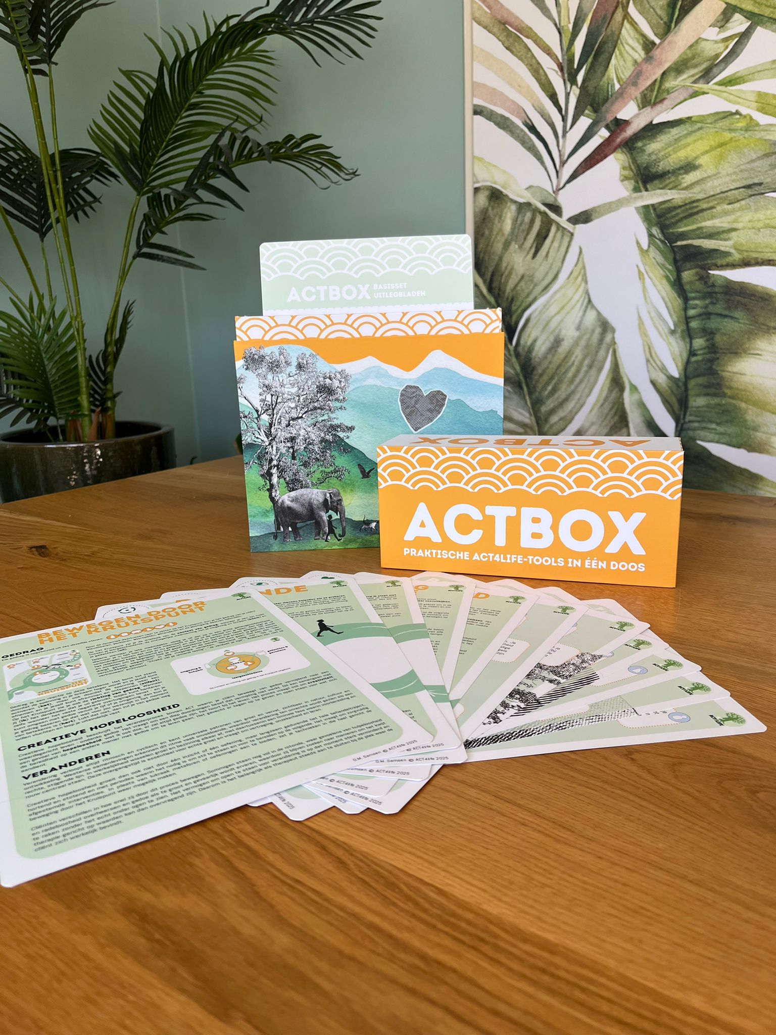 ACTBOX basis - compleet - Afbeelding 16