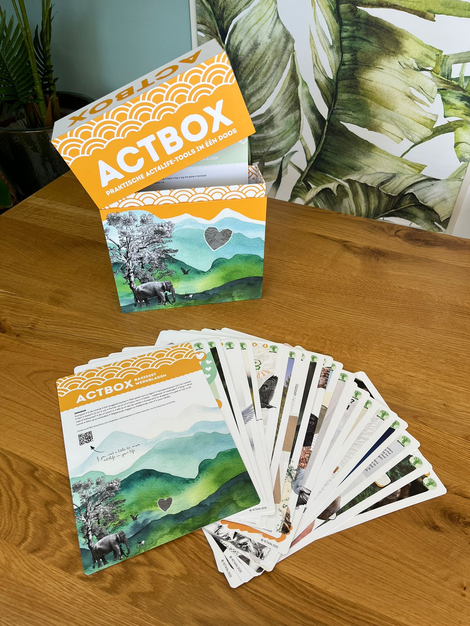 ACTBOX basis - compleet - Afbeelding 9