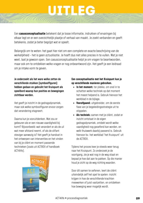 Boekje Procesdiagnostiek - Afbeelding 5